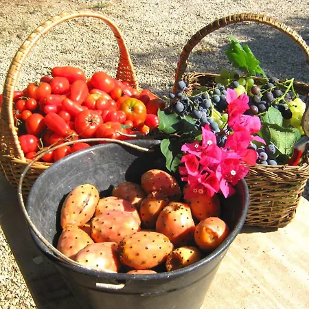 Costanza Feriehus San Giovanni (Sassari)