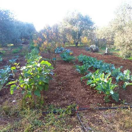 Сasa de vacaciones Costanza San Giovanni (Sassari)